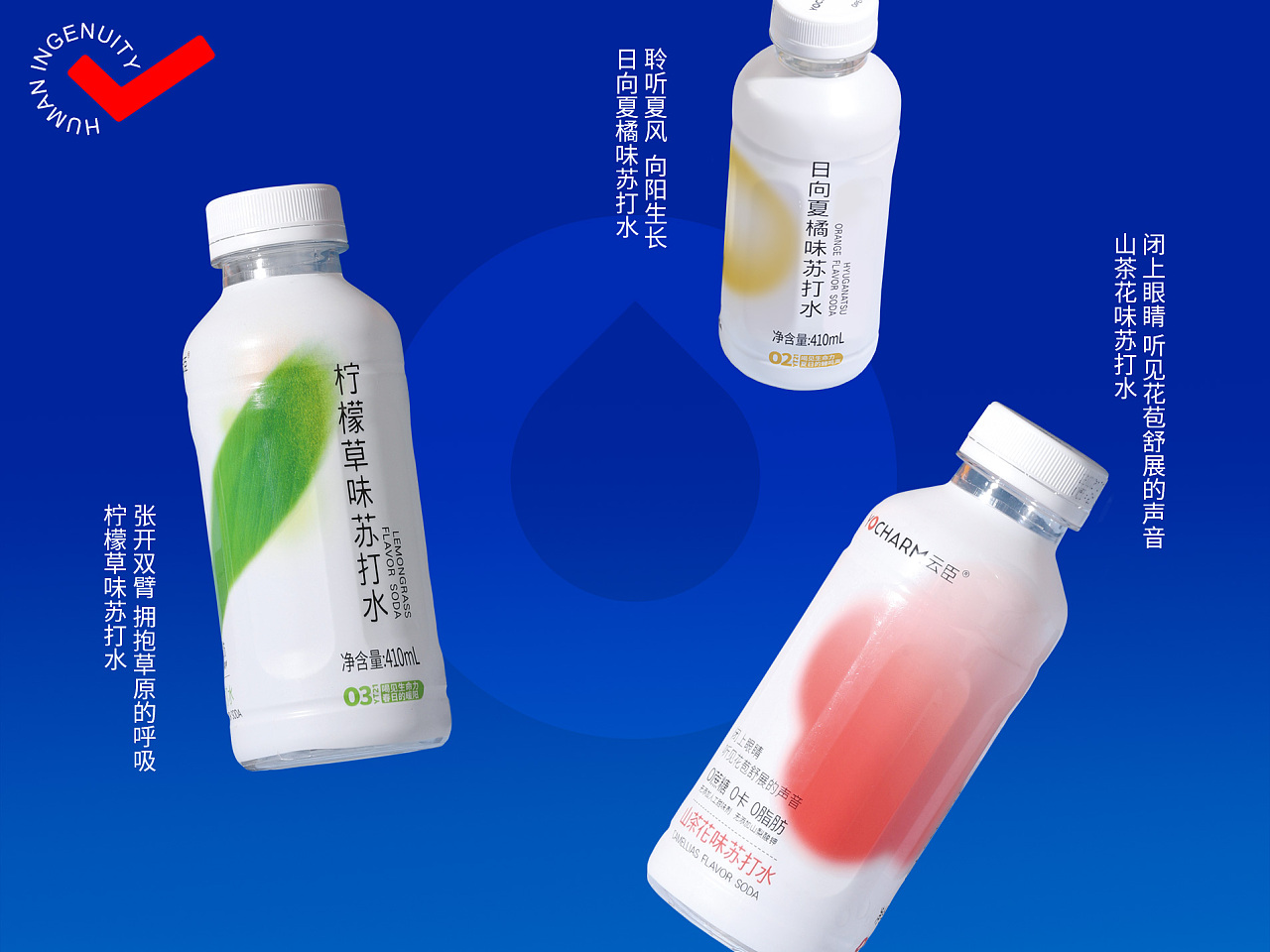 云臣风味苏打水系列包装设计