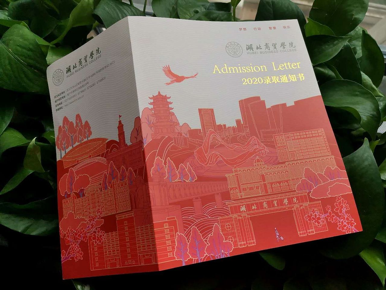 湖北商贸学院2020年录取通知书设计