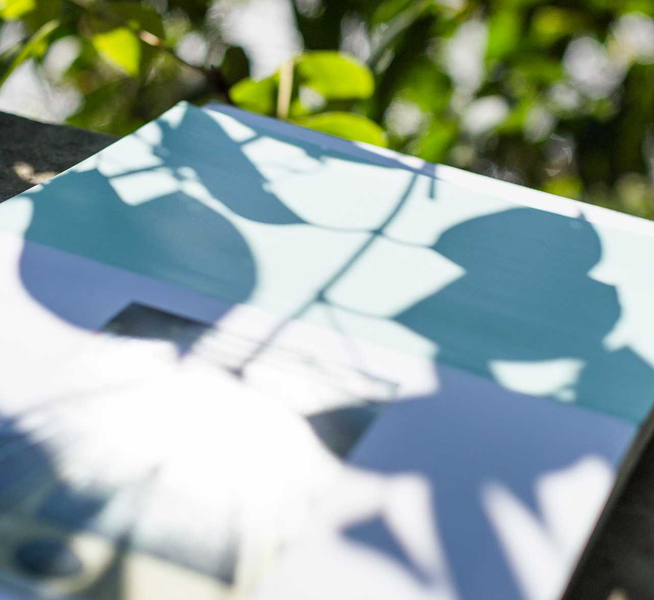 周六 晴（图ZMTM0MjY3MDQw） - 产品摄影 - 站酷设计师十月Me原创素材 - 站酷ZCOOL