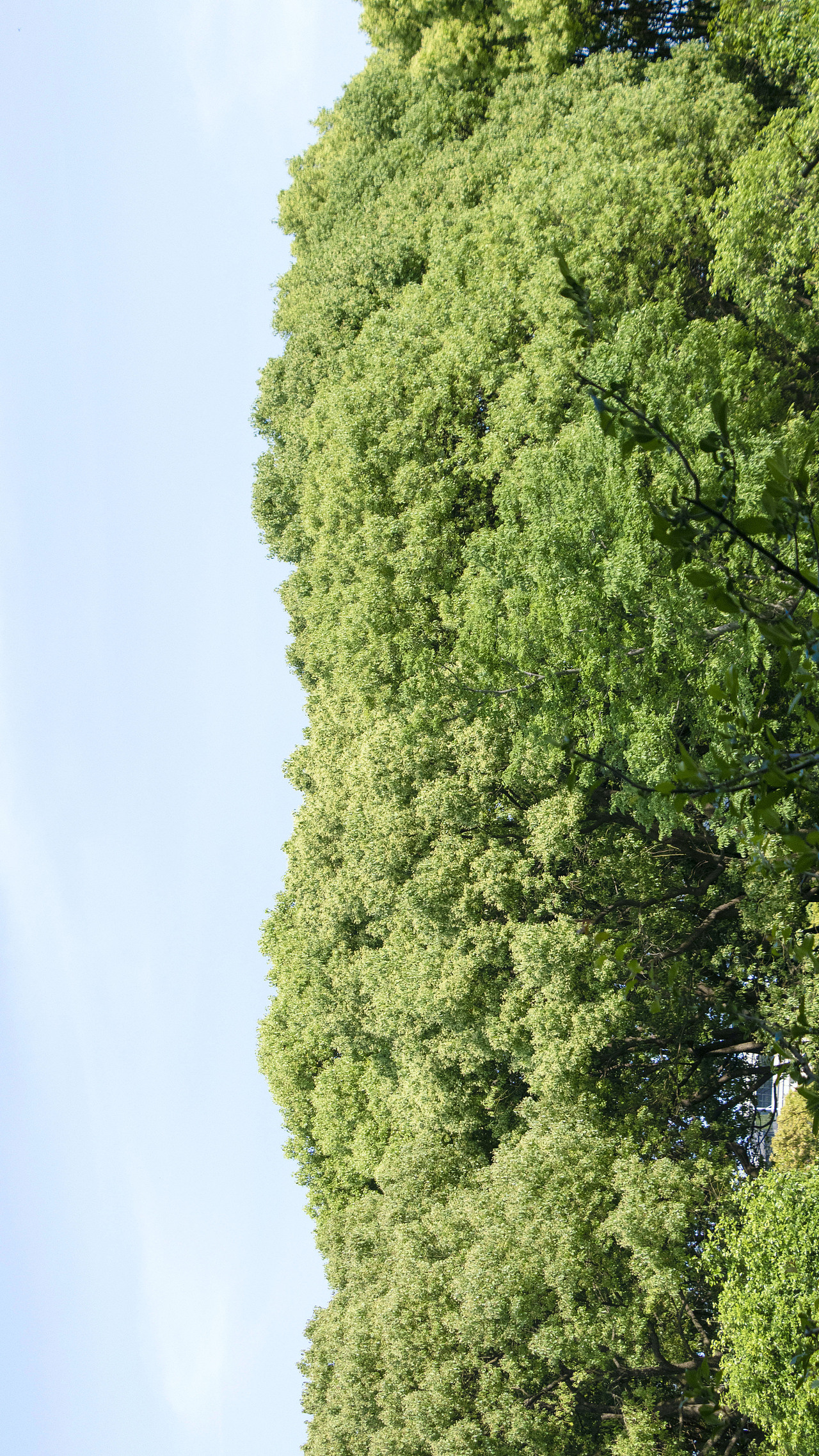 春末夏初（图ZMjUzNTQzNjcy） - 风光摄影 - 站酷设计师南澄原创素材 - 站酷ZCOOL