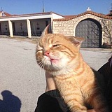 十点差三分love的头像