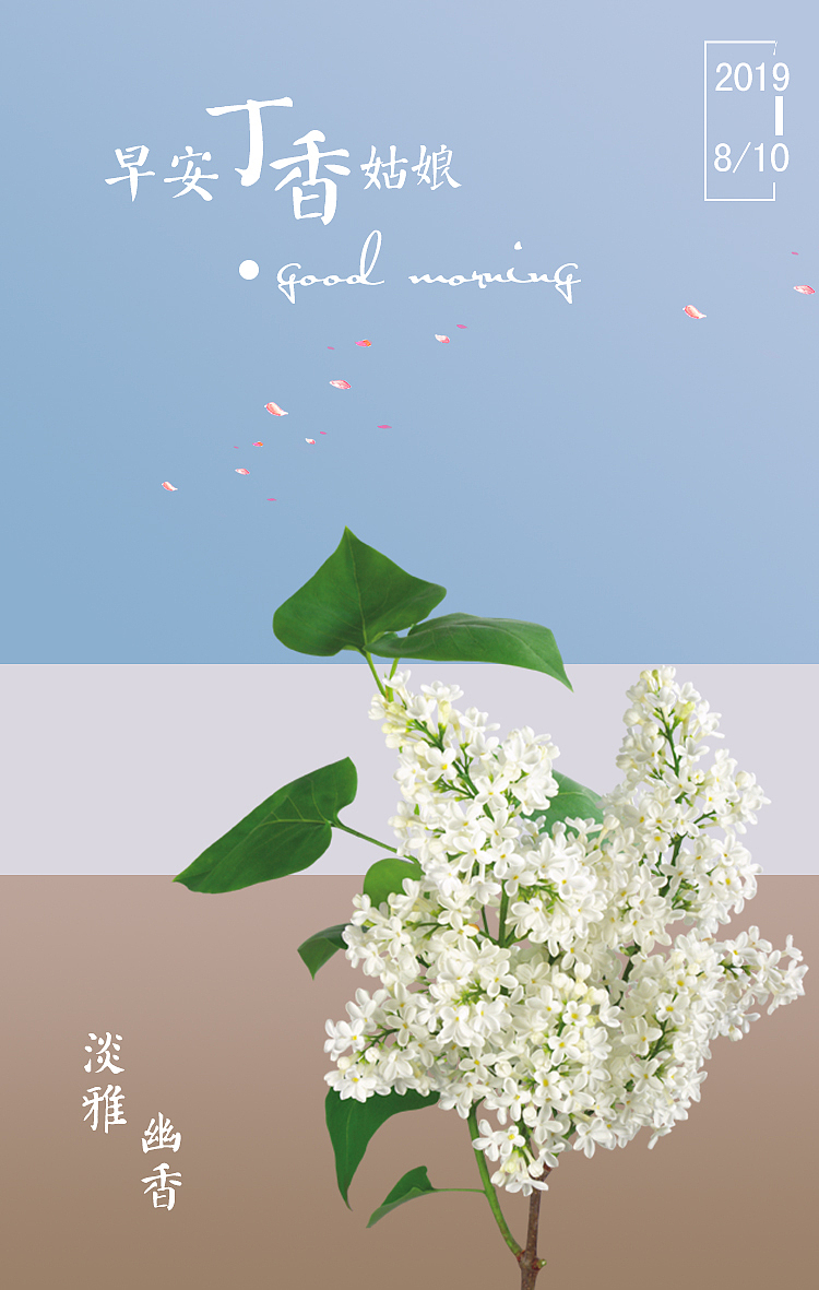 让每一朵花,跟你说早安