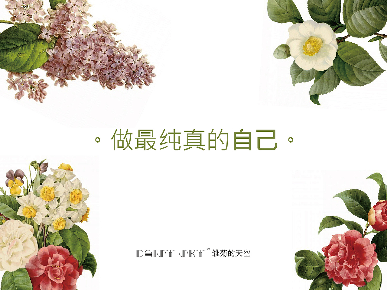 雏菊的天空 / 品牌视觉（图ZMTg2MTgxNTI=） - 品牌 - 站酷设计师阁楼妖怪原创素材 - 站酷ZCOOL