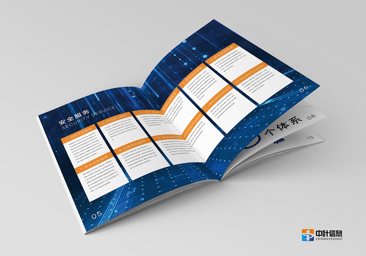 中葉信息畫(huà)冊(cè)設(shè)計(jì)（圖ZMTU0NjA1NTA4） - 書(shū)籍/畫(huà)冊(cè) - 站酷設(shè)計(jì)師你好中華設(shè)計(jì)原創(chuàng)素材 - 站酷ZCOOL