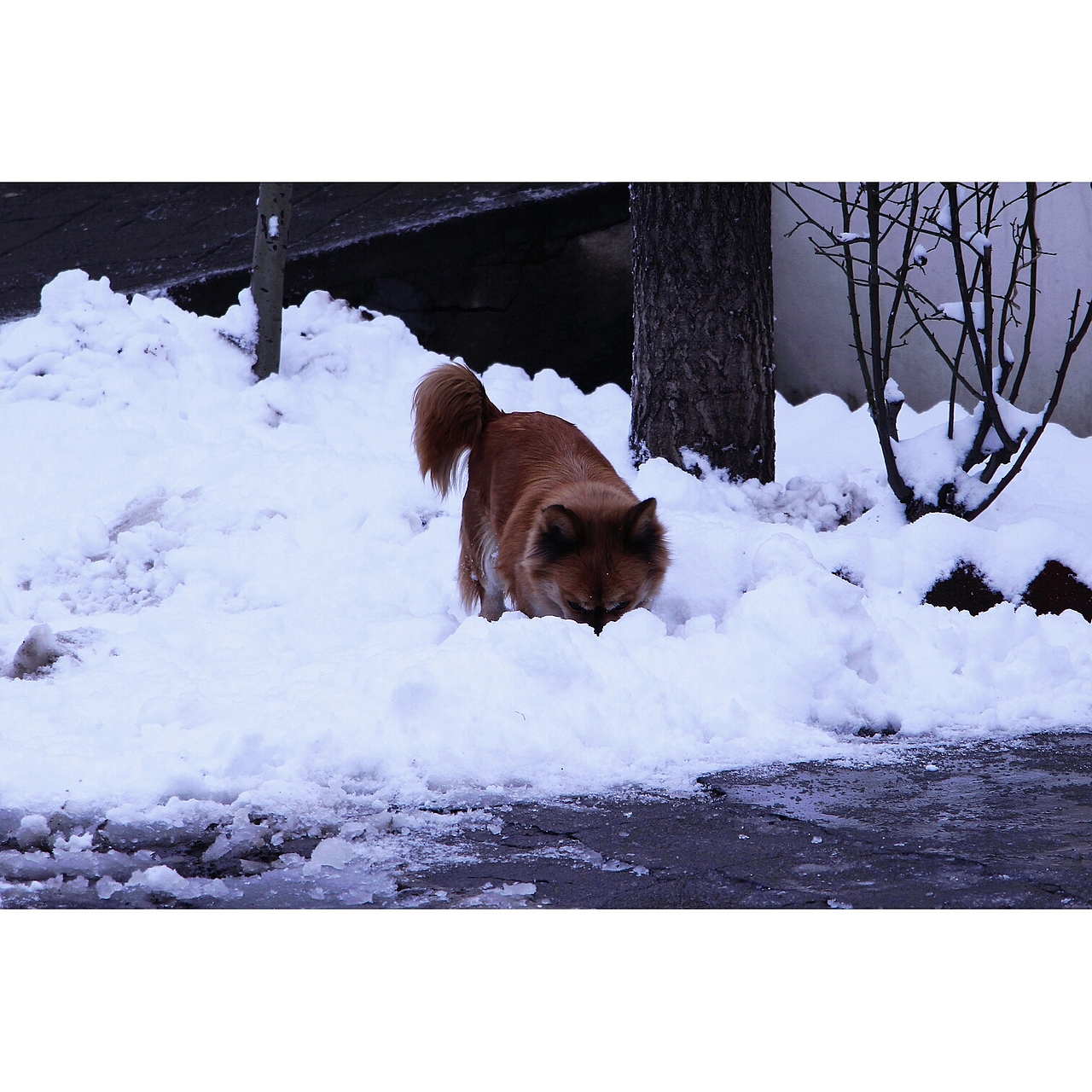 不負四季（圖ZMTk5MjI3MTI0） - 人文/紀實攝影 - 站酷設計師溜直的一個彎原創(chuàng)素材 - 站酷ZCOOL