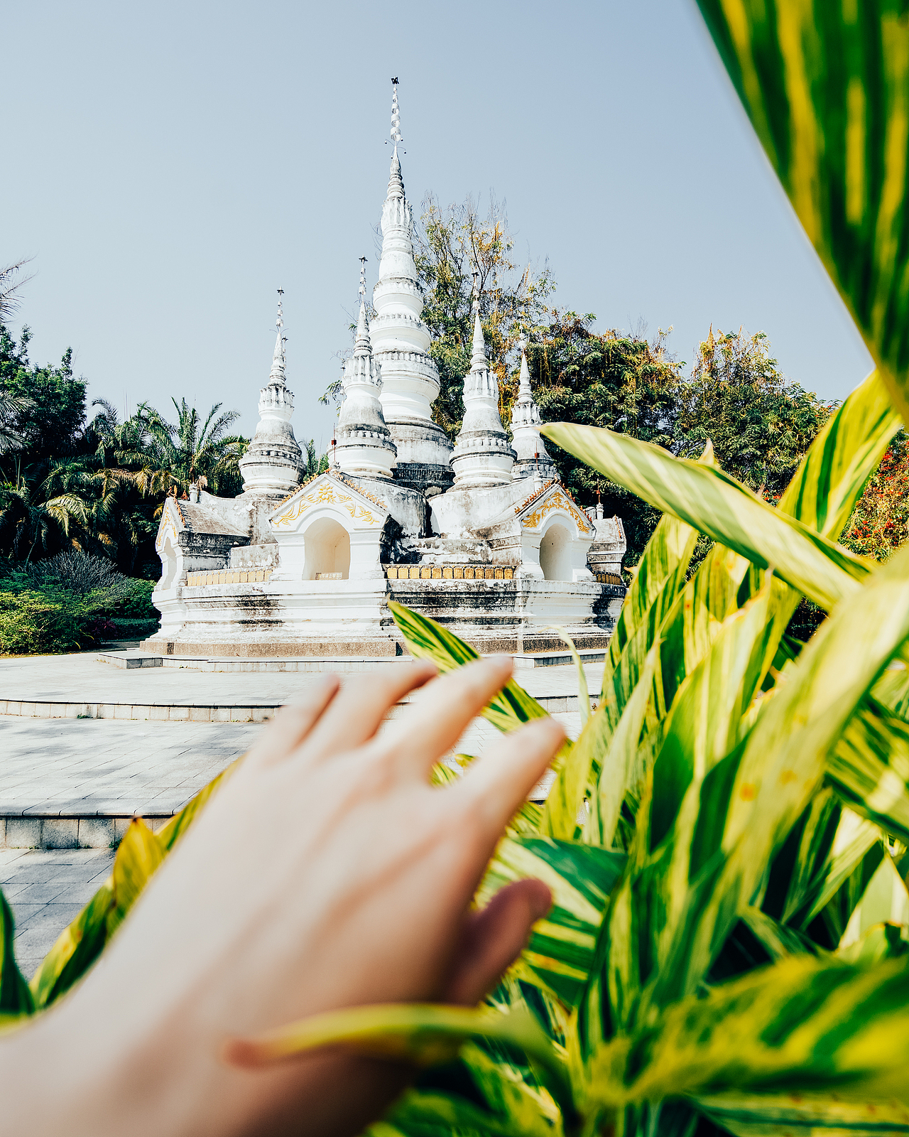 城视中国 | 异域西双版纳（图ZMjQ1NDI4MTk2） - 风光摄影 - 站酷设计师戴帽子的那个路遥原创素材 - 站酷ZCOOL