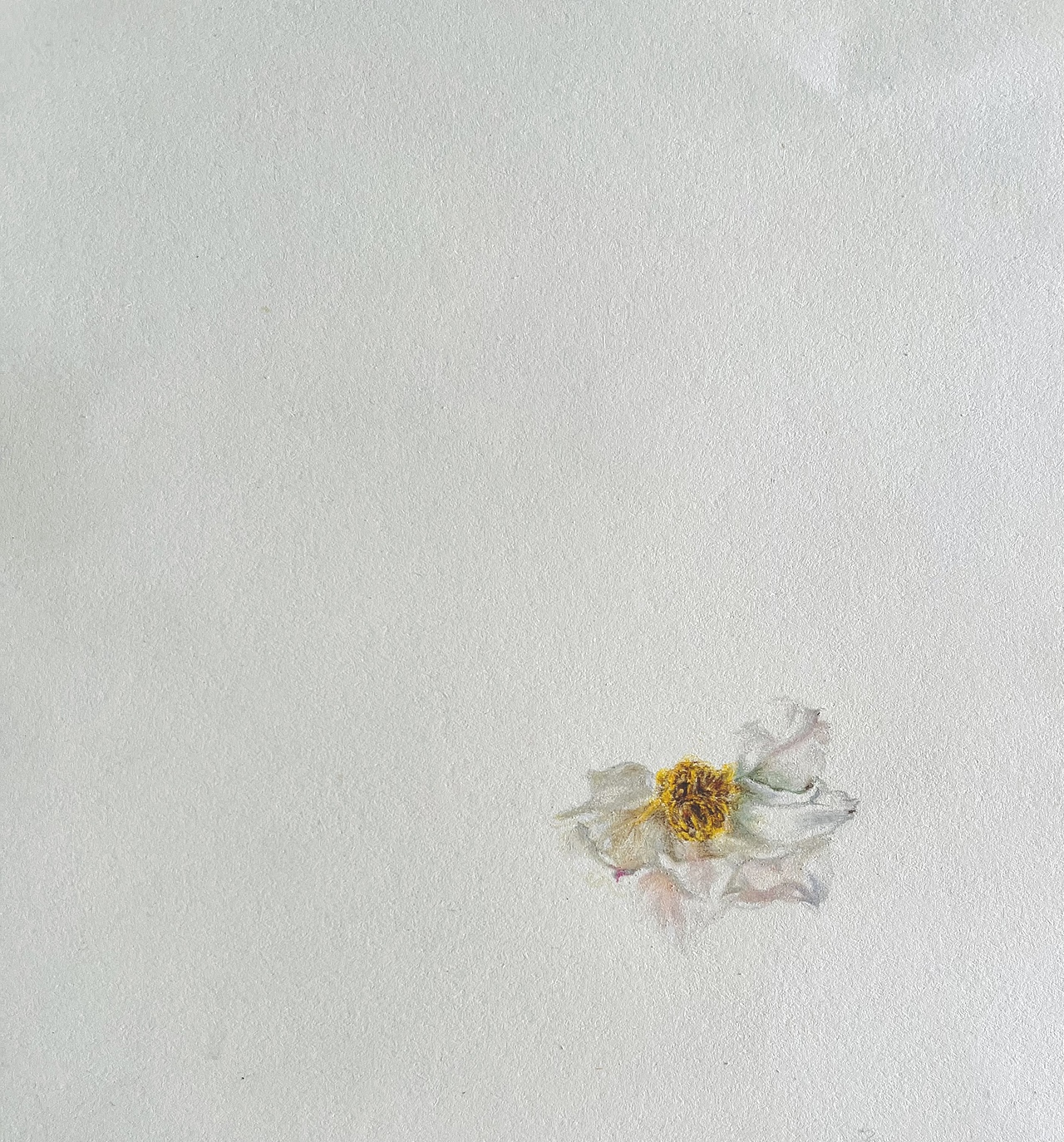 美丽的油画牡丹（图ZMjk0MTYzMDY4） - 绘画 - 站酷设计师DulcineaM原创素材 - 站酷ZCOOL