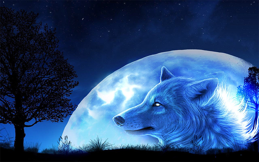 寒月之狼|动漫|单幅漫画|kimiliu_原创作品-站酷zcool