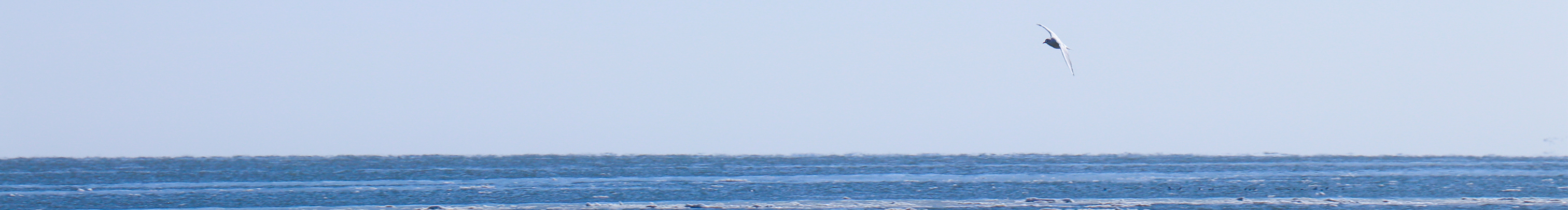 llyyzzz的个人主页（封面预览） - 主页封面设置 - 站酷设计师llyyzzz原创素材 - 站酷ZCOOL