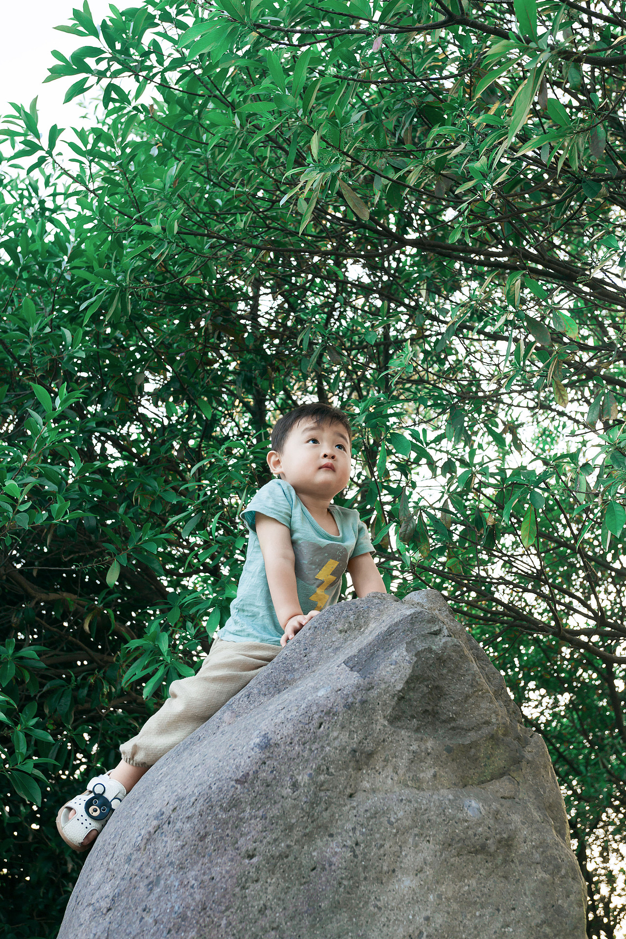 有儿子,多欢乐。