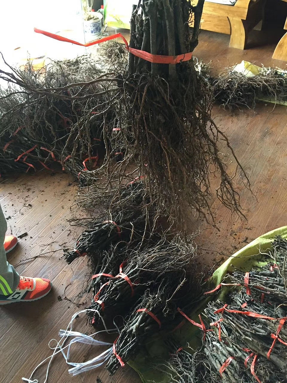 【新众一号】冰葡萄