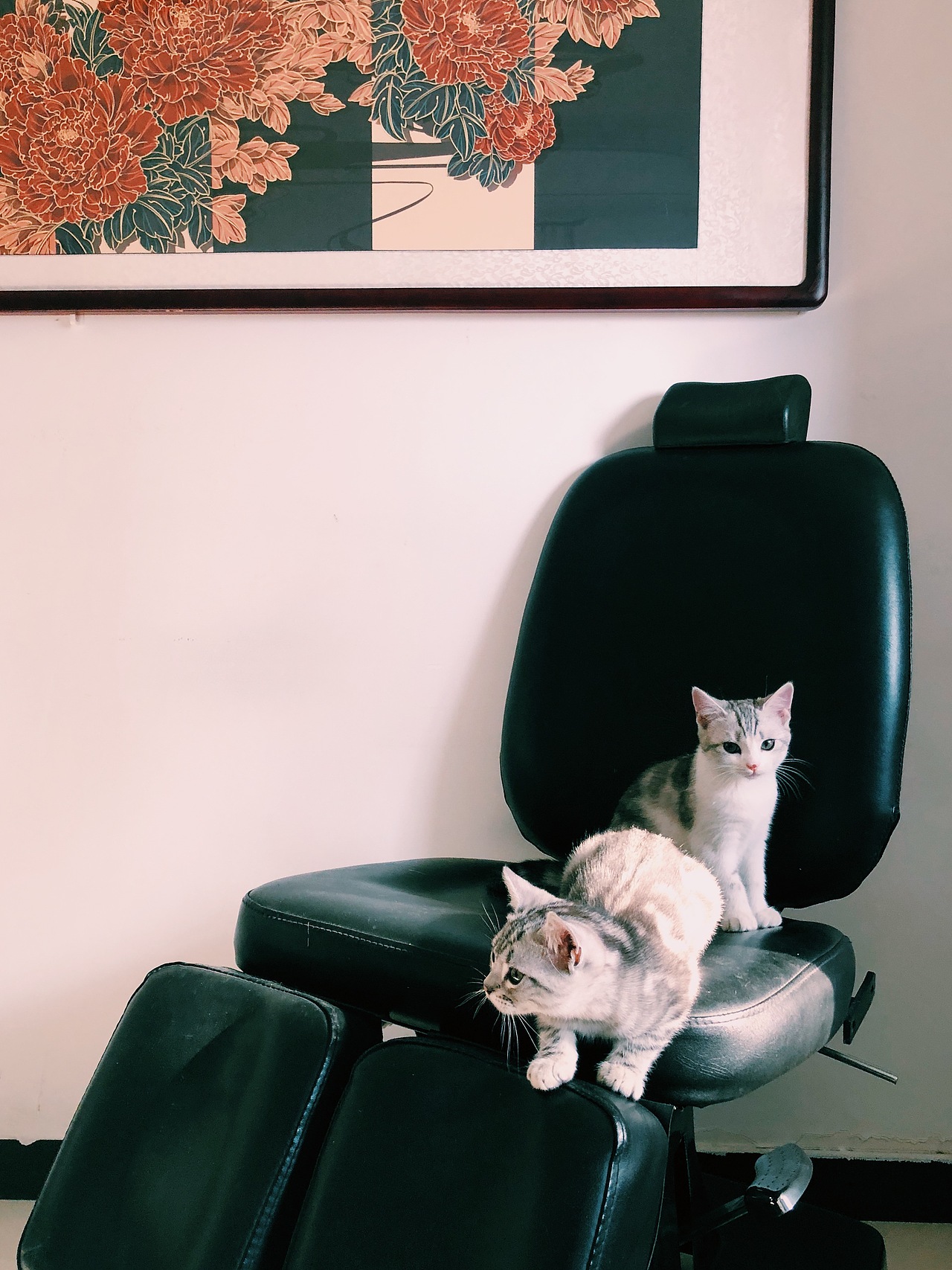 新的一年富贵发财哟（图ZMTQzMTA0MDgw） - 商业插画 - 站酷设计师艺术悍匪阿洛C原创素材 - 站酷ZCOOL