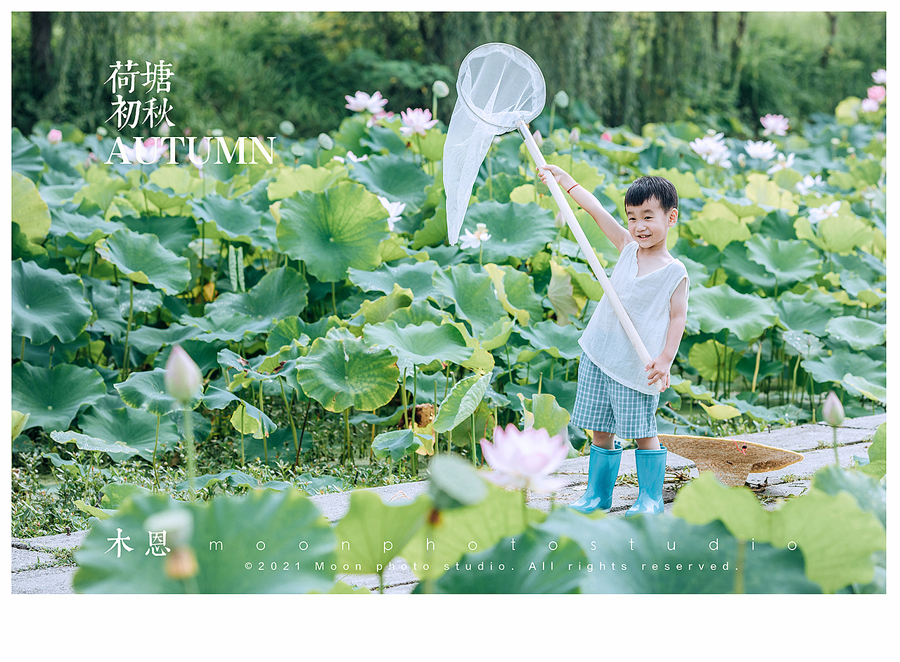 东东的荷塘叶色