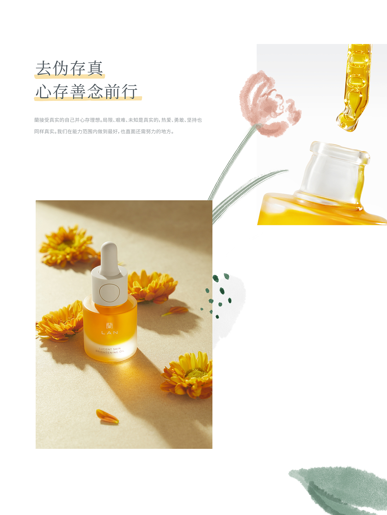 LAN蘭 品牌设计（图ZMjM5MzYyOTg0） - 品牌 - 站酷设计师nofans徐适原创素材 - 站酷ZCOOL