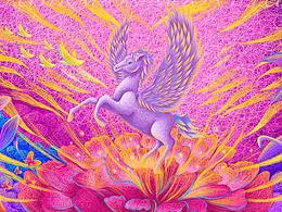 天马行空 心花怒放