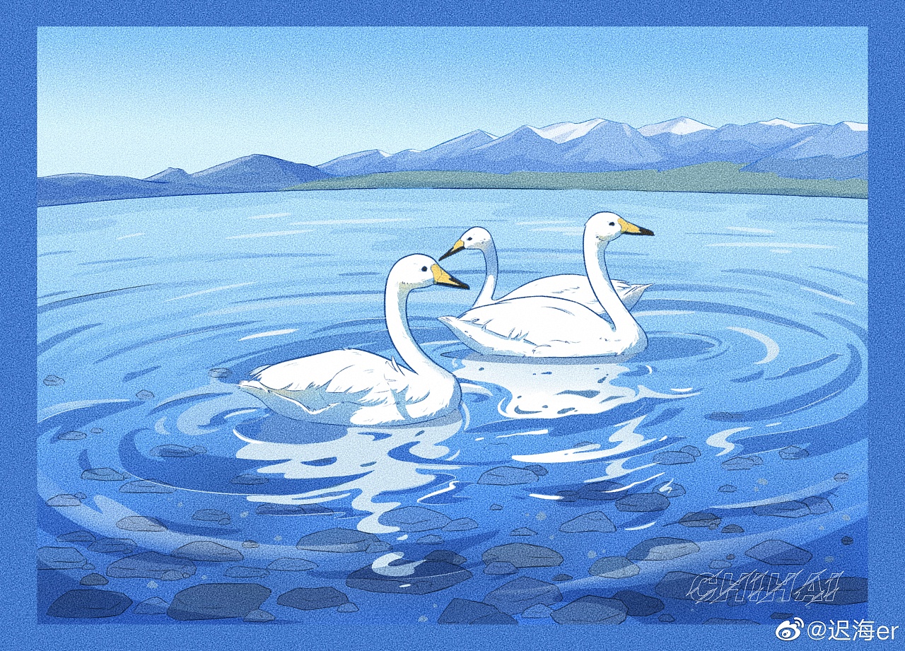 插画练习|天鹅湖