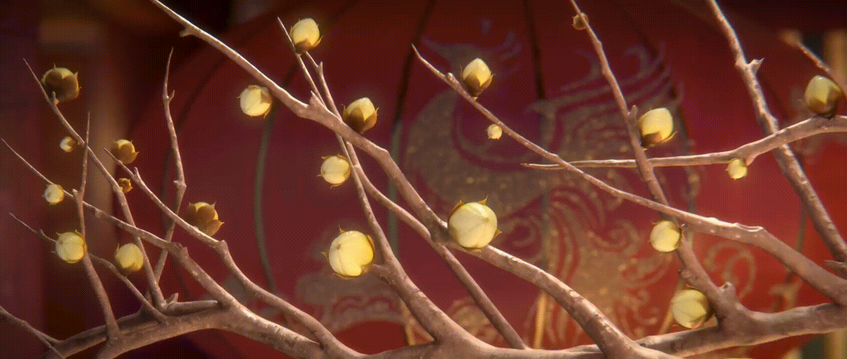 《闪耀暖暖》CG动画-猛男必看