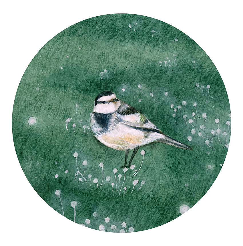 2019年终插画总结（图ZMTkxNDE0NTc2） - 商业插画 - 站酷设计师瑶背背原创素材 - 站酷ZCOOL