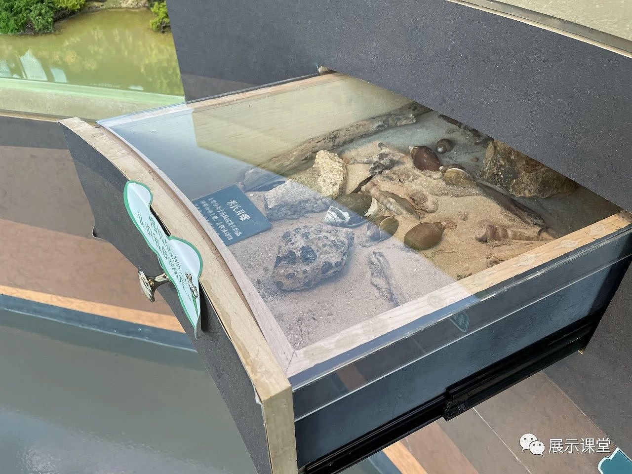 展厅设计/展馆/ 以“内容”为核心的生态科普展馆（图ZMjg2NDE1Njgw） - 展陈设计 - 站酷设计师展示课堂原创素材 - 站酷ZCOOL