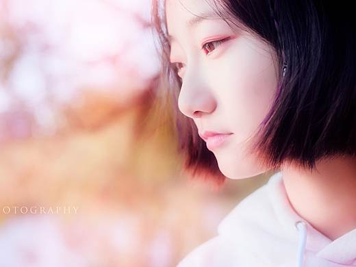 粉