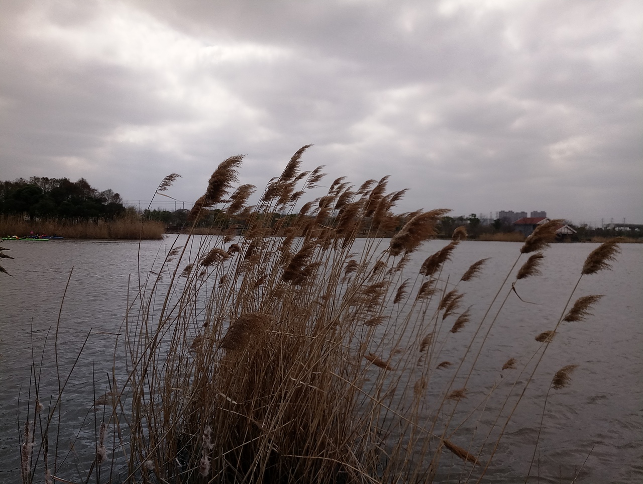 春之密影（图ZMTA4MjU4MTgw） - 产品摄影 - 站酷设计师珍丫头原创素材 - 站酷ZCOOL