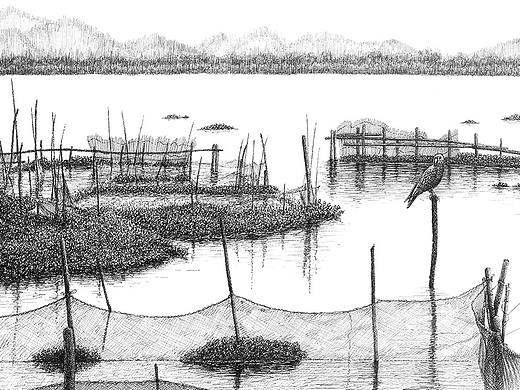 钢笔画【在水一方】