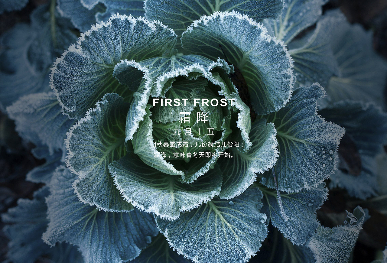 【霜降】第十八号节气（图ZMTMxOTc3NjI0） - 海报 - 站酷设计师MRTWELVE原创素材 - 站酷ZCOOL
