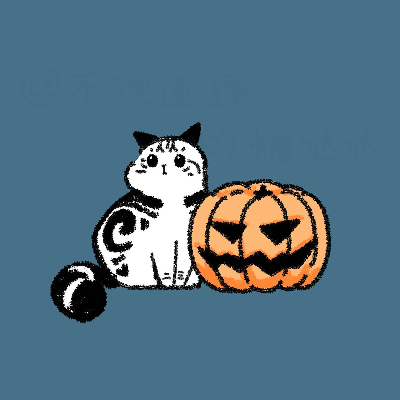 美短糖哒哒的万圣节