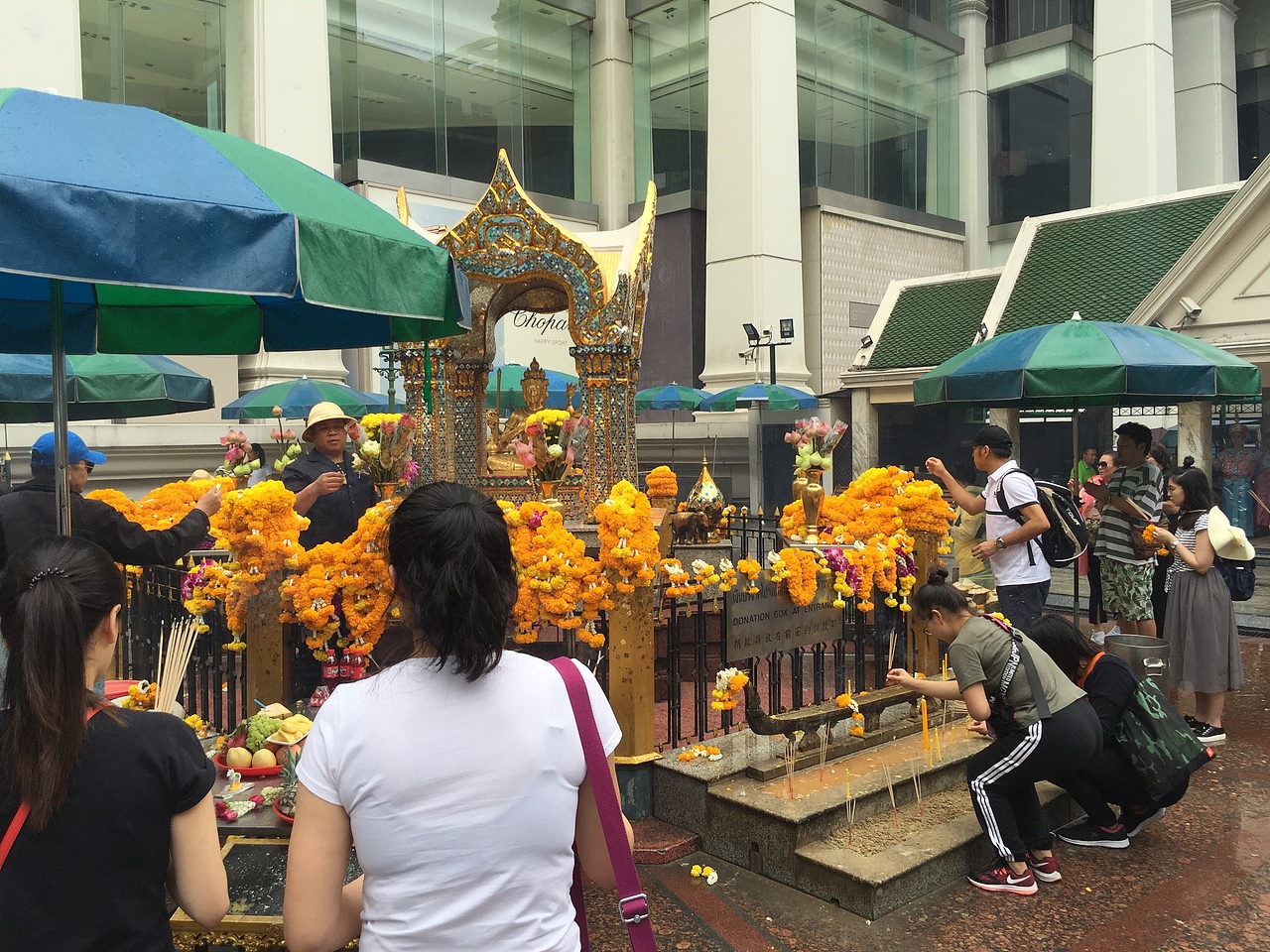 北京与泰国之光