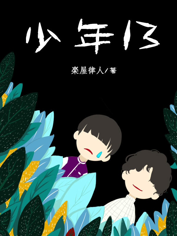 私小说《少年13》封面
