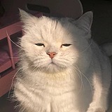 丘豆麻袋的头像
