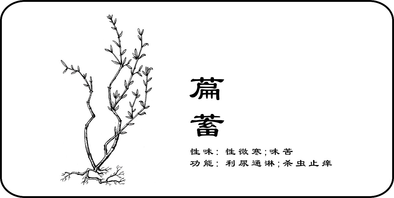 中草药手绘标示（图ZMzY3Mjg3NDA=） - 创作习作 - 站酷设计师一二零七原创素材 - 站酷ZCOOL