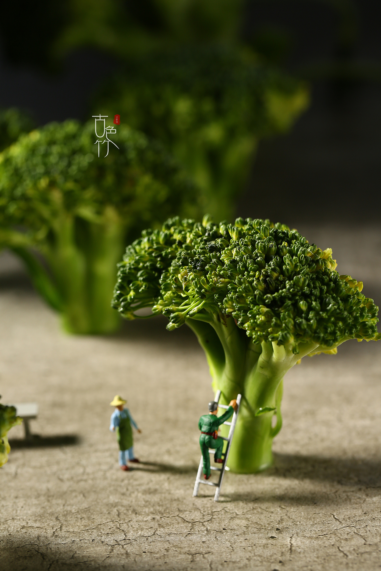 【古色竹】●微距摄影 | 西蓝花小人场景（图ZMjM0NjY3Nzg4） - 产品摄影 - 站酷设计师美食摄影师时移原创素材 - 站酷ZCOOL