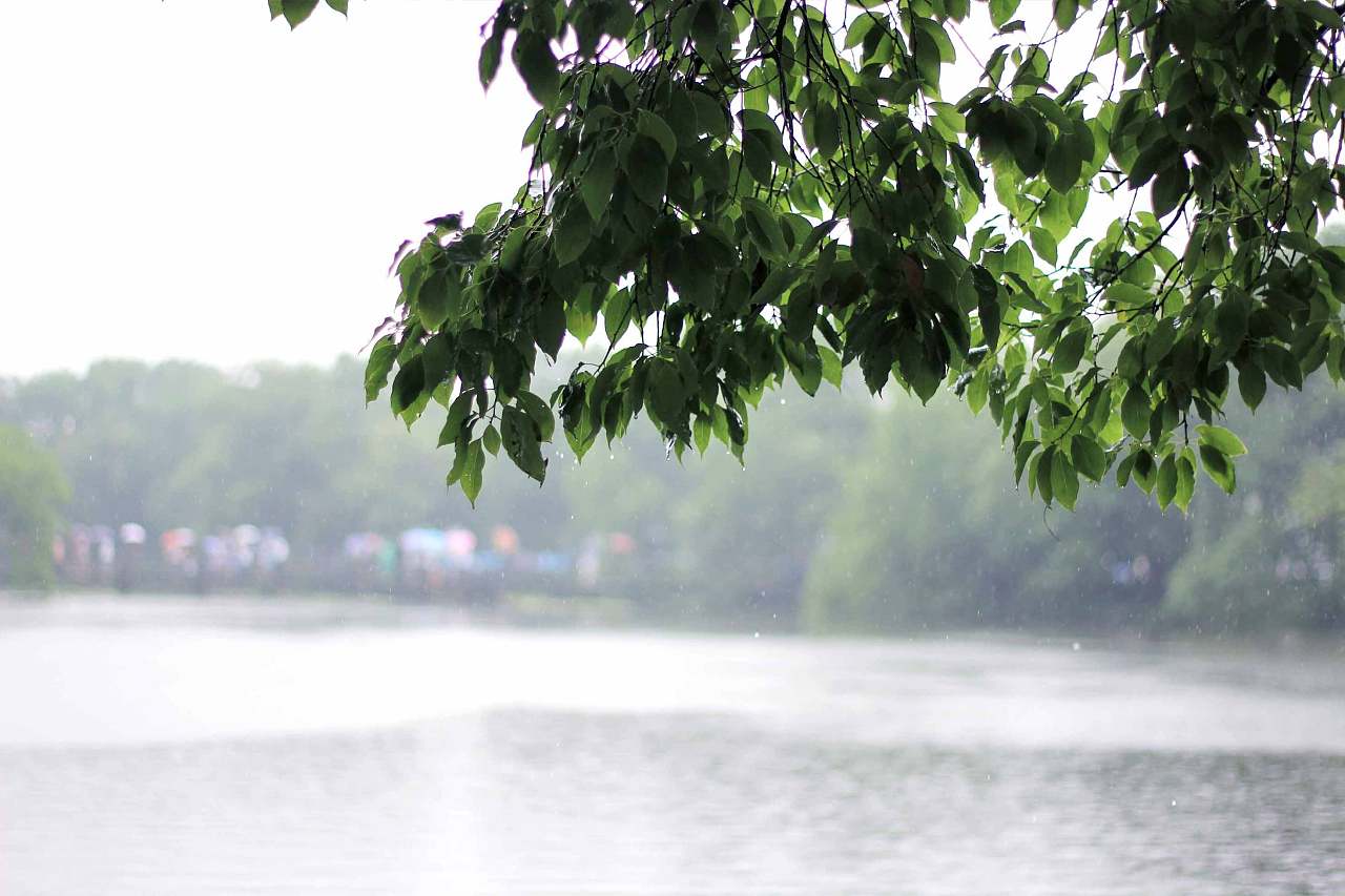 雨中西湖