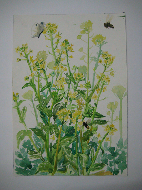 2015春节写生绘画本