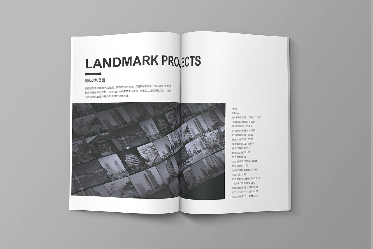 Second 平面-产品图册表现