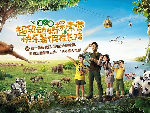 长隆动物暑假