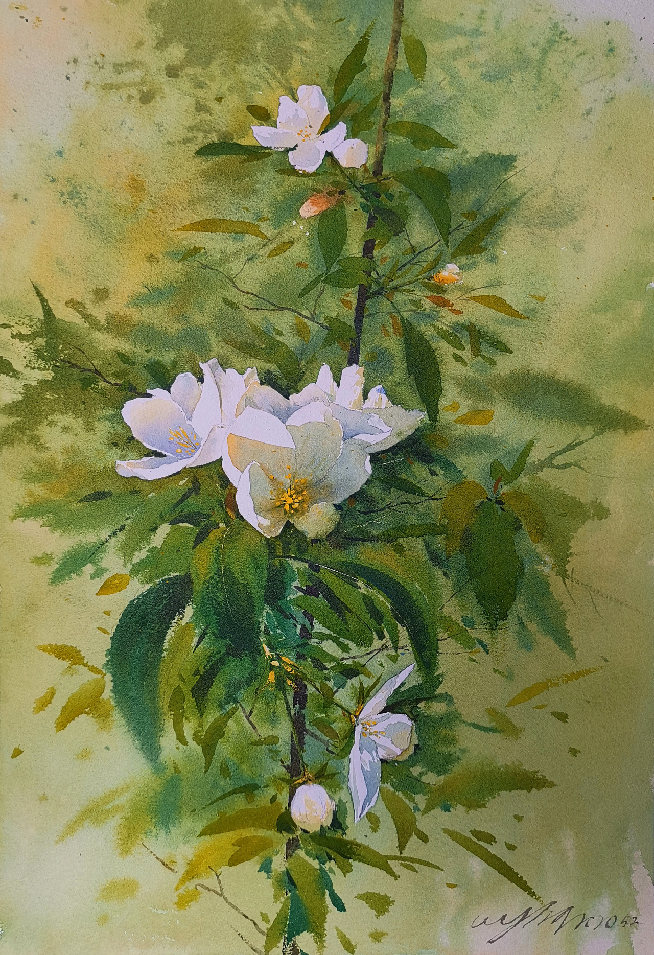 探索水彩的光影之美