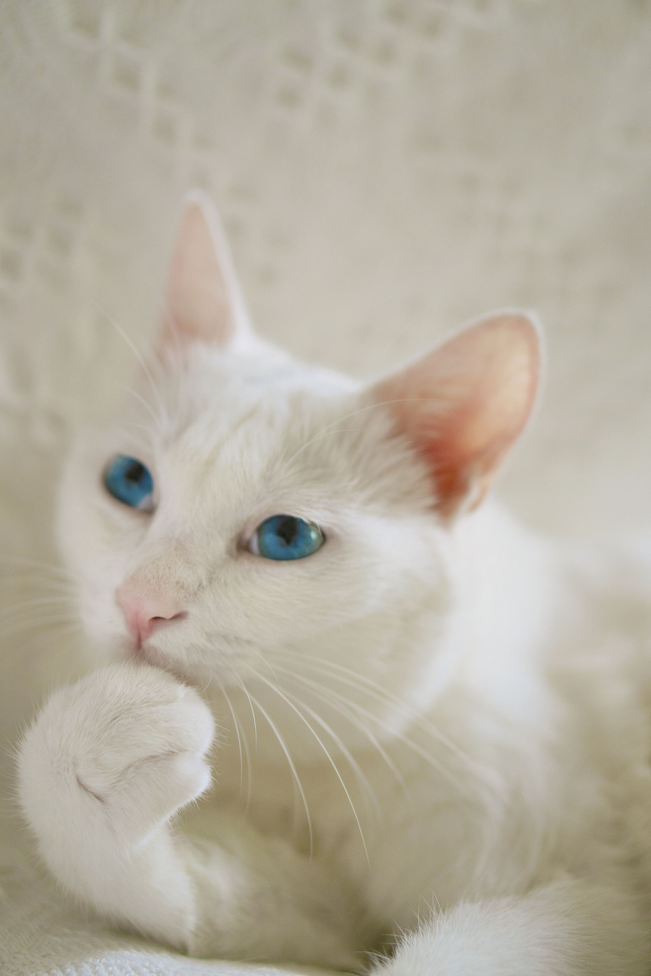 小白的周末时光