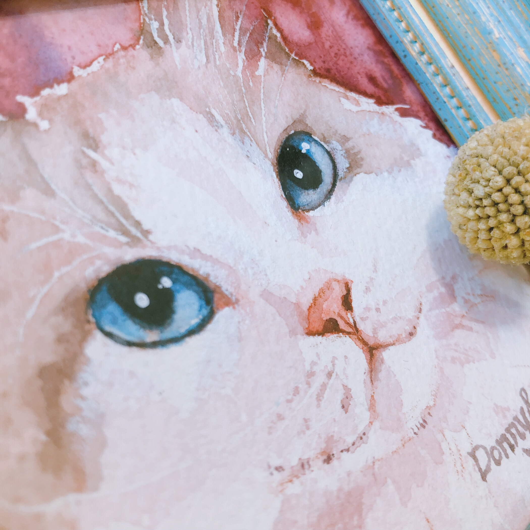 水彩布偶猫上色过程