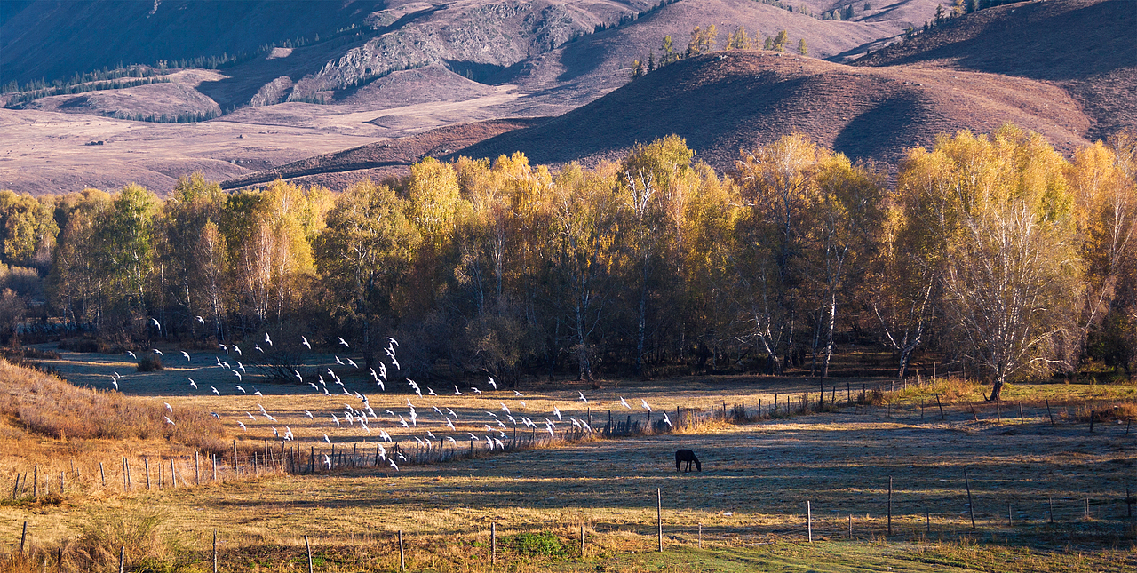 大美新疆（图ZMTQ5MDk1MjIw） - 风光摄影 - 站酷设计师一切kkk原创素材 - 站酷ZCOOL