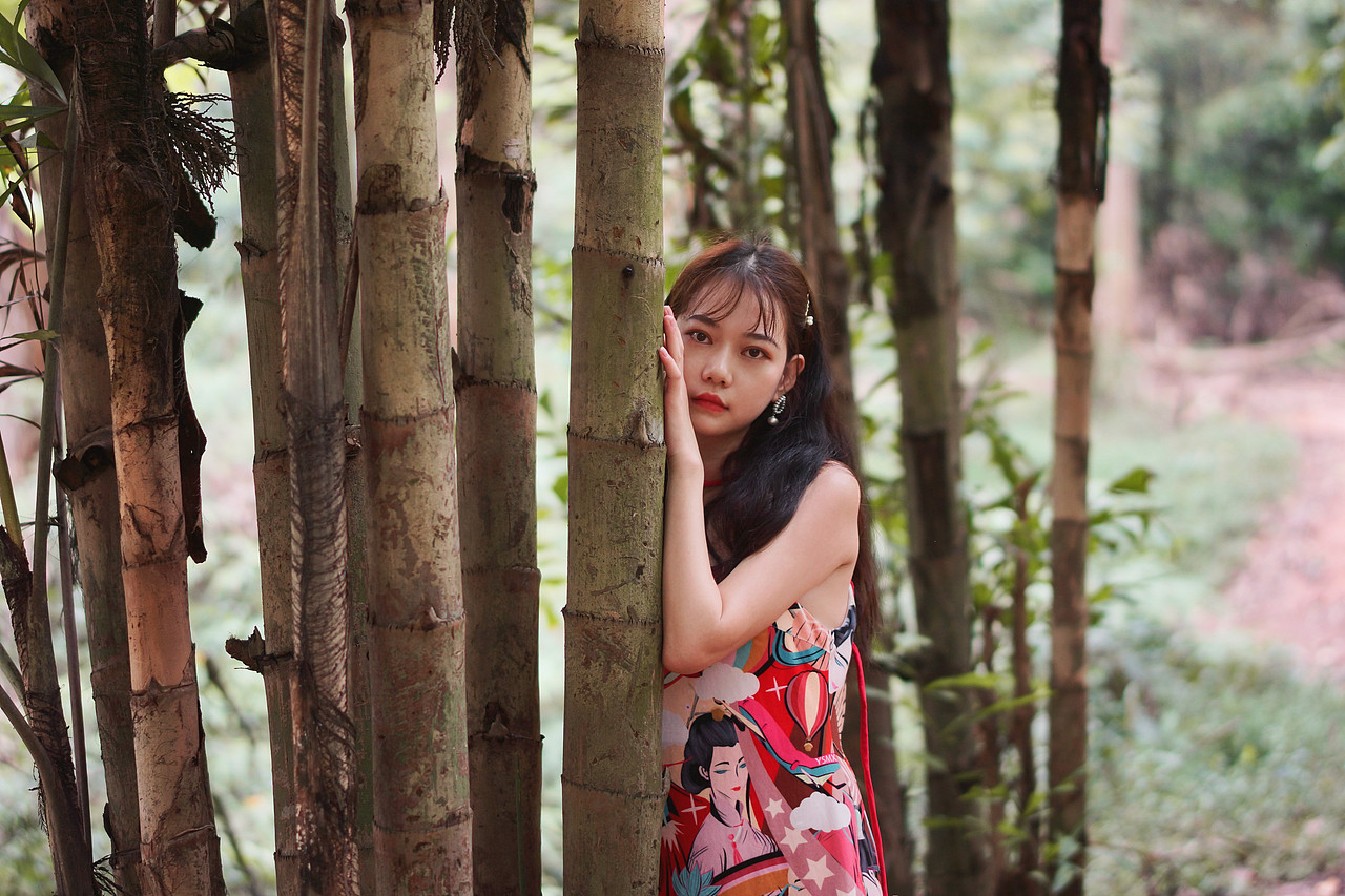 “你来听听吧, 风又吹过了那片森林”