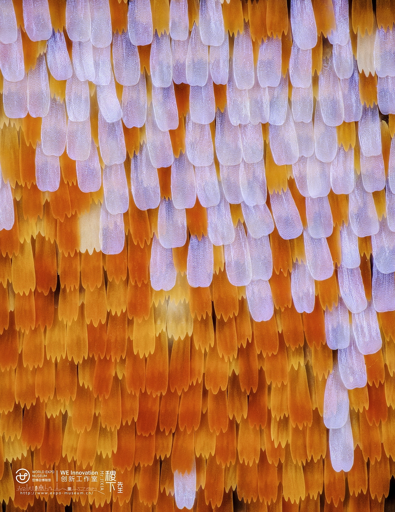 伯奇杯中国十大创意摄影师袁稷_高科技玩转堆叠摄影（图ZMTUyOTQ4MTYw） - 风光摄影 - 站酷设计师美食摄影师陈燕飞原创素材 - 站酷ZCOOL