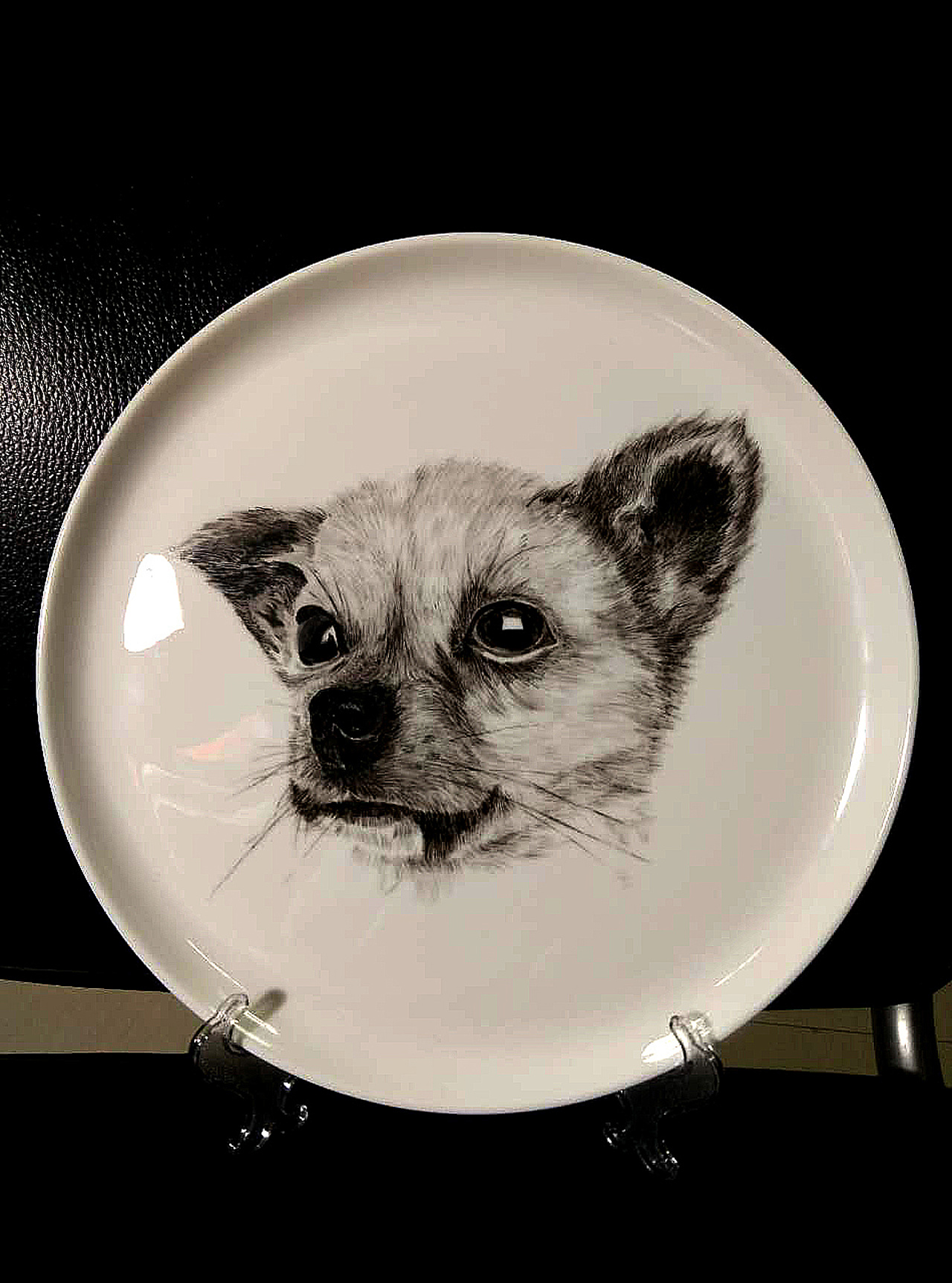 瓷盘绘画:汪星人头像(之一)