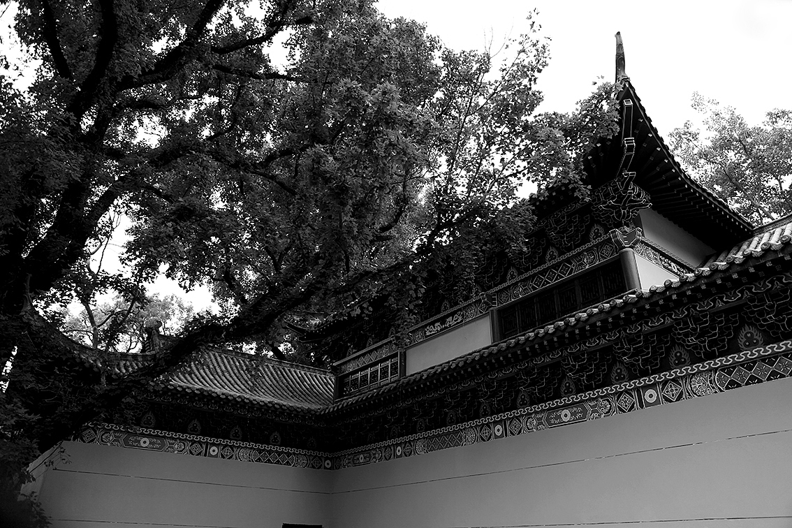 心放开
为自己着想,其实是一件会带给自己痛苦的事情。<br>我们为自已想得太多太多,这才滋生了无穷无尽的痛苦。<br>敞开胸怀纳宇宙,听起来有些遥不可及,但把心量放开,的的确确是开心的本怀。<br>快乐,是看到所有人对着自己在微笑。这种幸福,完全可以融化执著的自已。