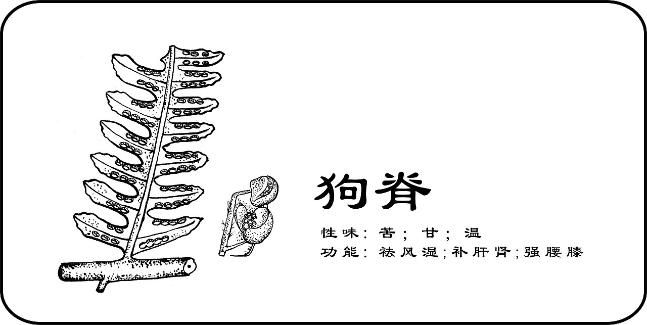 中草药手绘标示（图ZMzY3MzAyNjA=） - 创作习作 - 站酷设计师一二零七原创素材 - 站酷ZCOOL