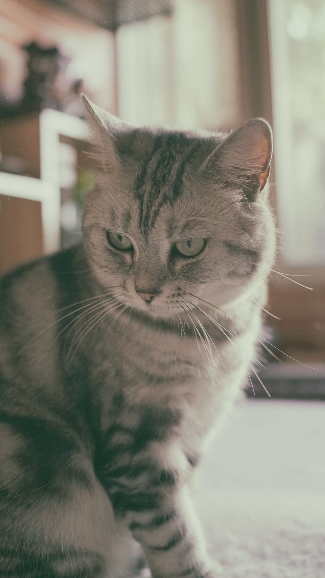 zhl007008009的個人主頁（背景預覽） - 主頁背景設置 - 站酷設計師zhl007008009原創(chuàng)素材 - 站酷ZCOOL