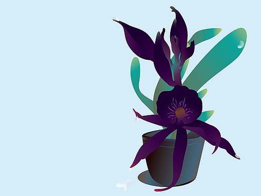 君子如蘭，空谷幽香（個人主頁-ZNTYxOTU5Mjg=） - 藝術(shù)插畫 - 站酷設(shè)計師_WangLily_原創(chuàng)素材 - 站酷ZCOOL