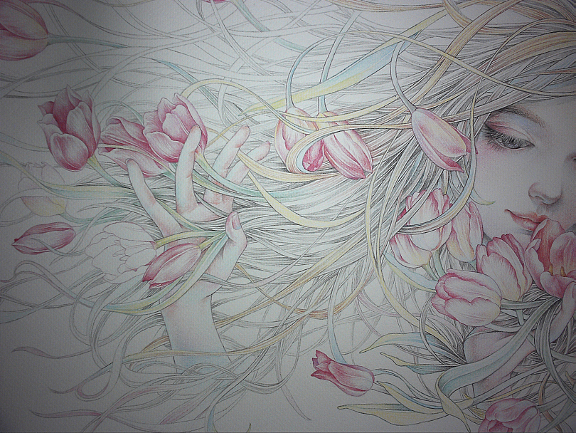 郁金香（图ZNzgyNTY1ODQ=） - 绘画 - 站酷设计师kekebaby原创素材 - 站酷ZCOOL