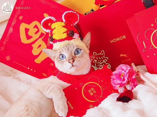 【新年快乐】傻猫们祝大家新年快乐恭喜发大财～